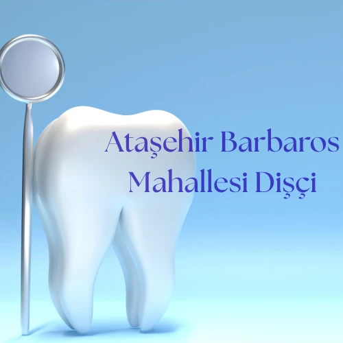 Ataşehir Barbaros Mahallesi Dişçi